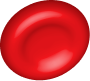Blood